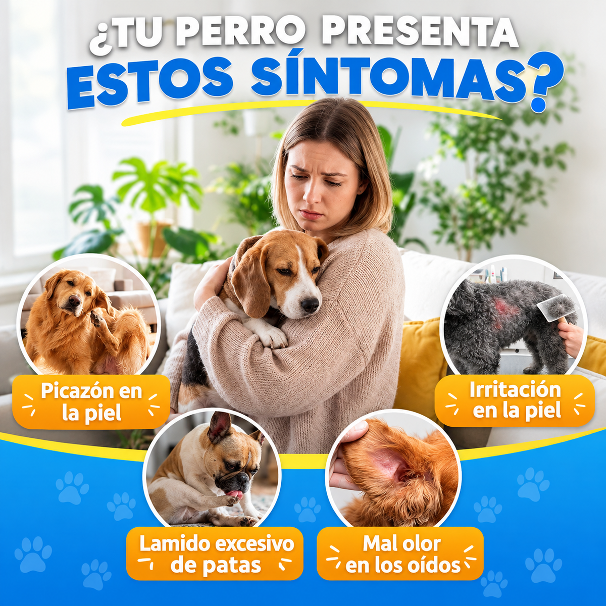 ¡Dile adiós a la picazón y dale a tu perro el bienestar que merece! YEAST INFECTION (Carmelie)