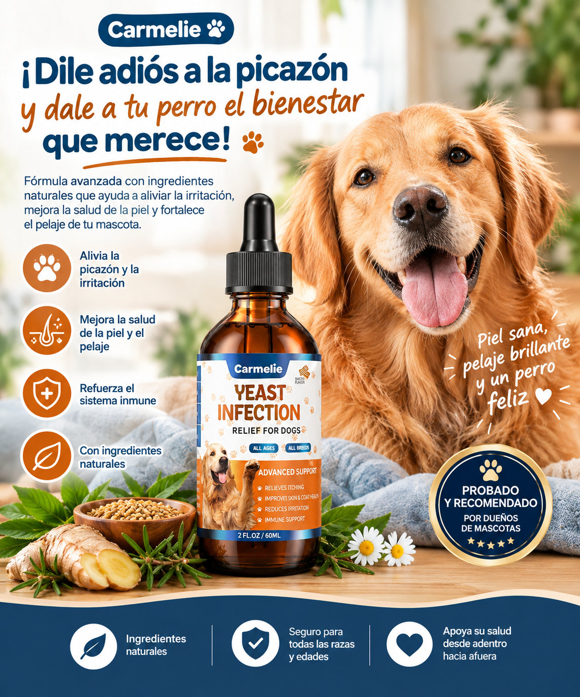 ¡Dile adiós a la picazón y dale a tu perro el bienestar que merece! YEAST INFECTION (Carmelie)